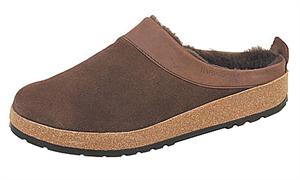 Haflinger Snowbird